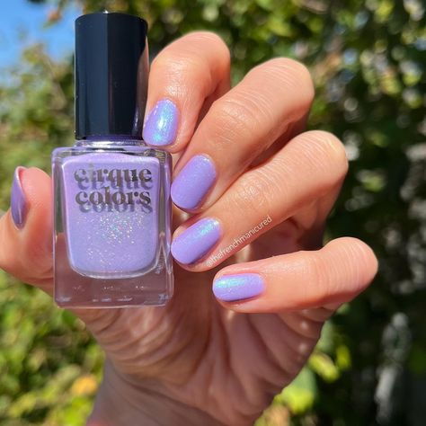 Cirque Colors (@cirquecolors) • Instagram photos and videos Ube Jelly, Isle Of Capri, Cirque Colors, Purple Nail Polish, My Last, Getting Ready, Makeup Nails, Capri, Lavender