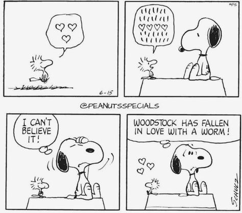 Peanuts Snoopy Comics, Funny Snoopy, Before I Go To Sleep, Calvin And Hobbes Comics, Snoopy Comics, Humans Of New York, Snoopy Cartoon, Peanuts Comic Strip, Snoopy Funny