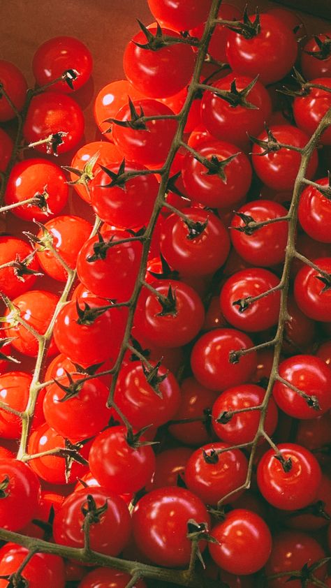 Tomatoes Aesthetic, Tomato Aesthetic, Tomato Party, Tomato Girl, Dinner Aesthetic, Tomato Farming, Grocery Market, Orange Painting, Iphone Wallpaper Kawaii