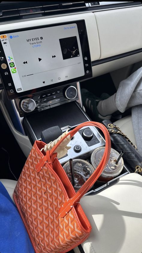 Goyard Mini Tote Outfit, Orange Goyard, Goyard Tote, Kendall Style, Goyard Bag, Girly Bags, Luxe Life, Luxury Purses, Girly Pictures