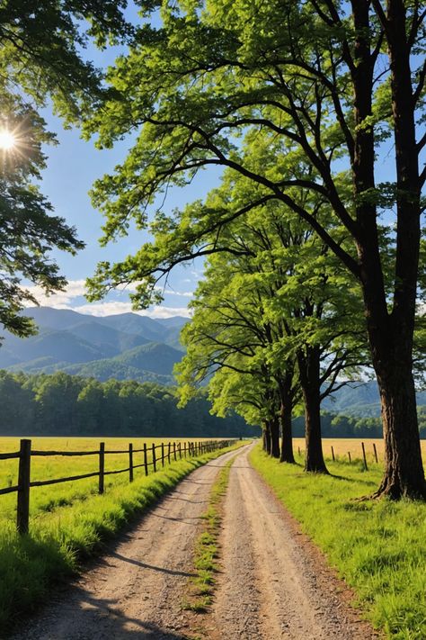 Unveiling the Splendor of Cades Cove 🌄: A Journey through Nature and History Horseback Riding Trails, Leaf Peeping, Mountain Adventure, Cades Cove, Smoky Mountain National Park, Smoky Mountain, Nature Trail, Rolling Hills, Great Smoky Mountains