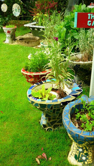 What to do with too many old dunnies! (toilets) | This is th… | Flickr Toilet Garden Ideas, Old Toilet Ideas Planters, Old Toilet Ideas Reuse, Repurposed Toilet, Toilet Planter, Mosaic Toilet, Toilet Garden, Garden Toilet, Roof Garden Design