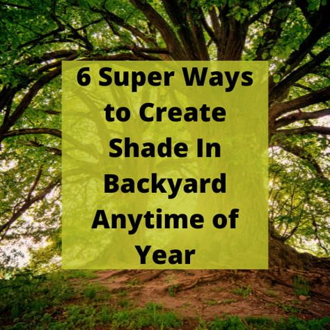 Ways To Add Shade To Backyard, Shade Options For Backyard, No Shade Backyard Ideas, How To Create Shade On Patio, How To Create Shade In Garden, Create Shade In Garden, How To Add Shade To Your Backyard, How To Make Shade In Backyard, Creating Shade In The Garden