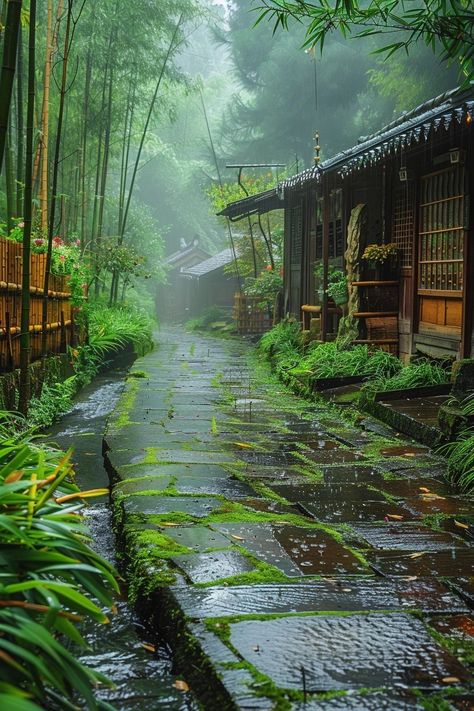 Chinese Forest Aesthetic, Japan Forest, Japanese Homes, Chinese Mountains, Japanese Plants, Nature And Architecture, Japanese Forest, Traditional Japanese Architecture, Green Bamboo