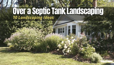 Plants Around Septic Tank, Septic Field Landscaping, Septic Landscaping Ideas, Landscape Around Septic Tank Lids, Hide Septic Tank Cover Garden Ideas, Hiding Septic Tank Lids, Landscaping Around Septic Tank Cover, Landscaping Around Septic Tank, Septic Field Landscaping Ideas