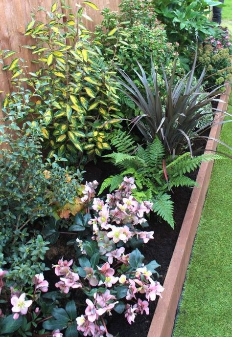 How to plant the perfect border – Gardenonaroll - Gardening | Learning with Experts Straight Garden Border, Shrub Border Ideas Uk, Planting Borders Ideas, Evergreen Borders Uk, Raised Border Planting Ideas, Narrow Garden Border, Front Garden Border Ideas Uk, Narrow Garden Border Ideas, Shady Border Planting Plan