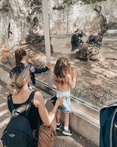 M A C I 🤎 on Instagram: “zoo day w @baileybryce_ but really swipe to last one for the flamingo 🦩 fight #sacramentozoo #sacramento #zoo #ltkspring #liketoknowit…�” Mom Photography, Zoo Day, Moms Photography, Activities Ideas, Family Friendly Hotels, In The Zoo, Sweet Escape, Visit Paris, Ideas For Instagram Photos