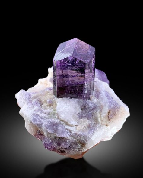 Minerals: ❇️ Scapolite on Marble ❇️ Top grade terminated Purple color Scapolite on marble matrix. Crystal has gem grade luster and transparency. Its perfect self standing and aesthetic specimen. Weight : 150 Gram Size : 72*61*54 mm Origin : Badakhshan Afghanistan #scapolite #scapolitecrystal #scapolitestone #rarecrystals #rareminerals #finemineralspecimen #tourmalinekingsworldwide #turmalina #tourmalinekings #quartz #smokyquartz #crystals #crystalcluster #crystalsofinsta #minerals #mineral... Badakhshan Afghanistan, Fine Minerals, Crystal Cluster, Science And Nature, Marble Top, Smoky Quartz, Rocks And Crystals, Purple Color, Matrix