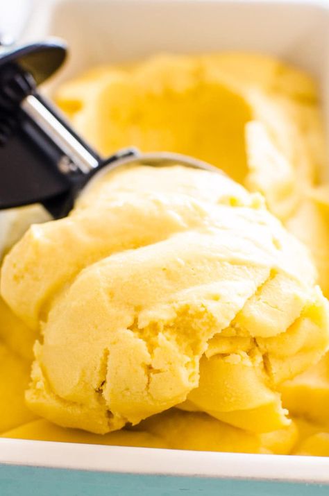 Coconut Mango Ice Cream is creamy, healthy and so delicious! This easy ice cream recipe is no churn and requires only 3-4 ingredients. Mango Ice Cream Recipe, Coconut Ice Cream Recipes, Recipe Album, Easy Ice Cream Recipe, Mango Ice Cream, Ice Cream Maker Recipes, Dairy Free Ice Cream, Easy Ice Cream, Protein Meal