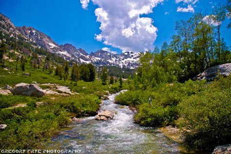 Lamoille Canyon near Elko Elko Nv, Elko Nevada, Most Beautiful Places On Earth, Northern Nevada, Scout Camp, Hiking Places, Nevada Travel, Reno Tahoe, Island Lake