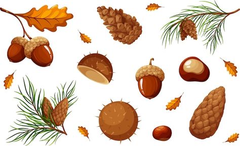 Book Reference, Autumn Crafts, Autumn Nature, Natural Elements, Album Photo, Pine Cones, Creative Work, Chestnut, Premium Vector