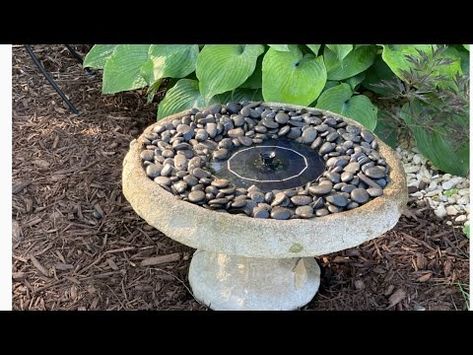 (3) Butterfly puddling station - YouTube Hummingbirds, Flower Garden, Butterflies, Nutrition, Birds