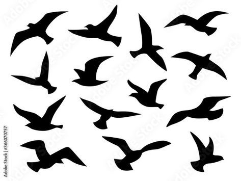 Stock Image: Bird silhouettes. Flying birds flock, black drawing flight raven tattoo template, monochrome animal wild life migration vector set Birds Silhouette Flying, Birds Flying Silhouette, Migration Birds, Raven Flying, Flying Bird Silhouette, Bird Silhouettes, Bird Outline, Black Drawing, Tattoo Templates