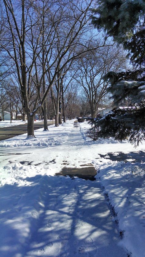 Sunny Snowy Day Aesthetic, Sunny Winter Aesthetic, Evermore Winter, Snow Snap, Toronto Snow, Canada Vibes, Ifrane Morocco, Snow Canada, Snow Picture