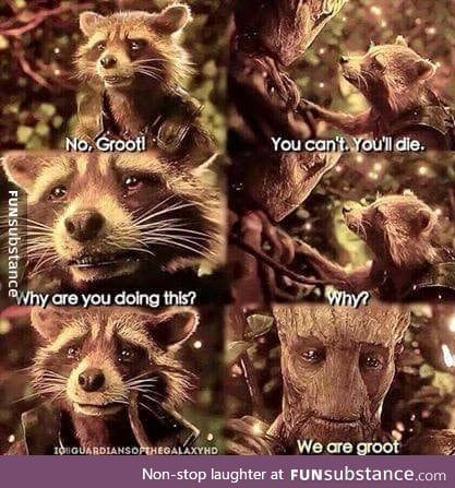 *cries in the corner for weeks* - FunSubstance We Are Groot, Stark Tower, Groot Guardians, Dc Movies, Baby Groot, The Guardians, Marvel Memes, Avengers Assemble, Marvel Dc Comics