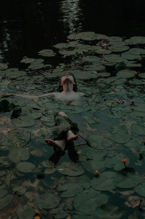 Levitation Photography, Pond Maintenance, Water Shoot, Figurative Kunst, Water Photo, Natural Pond, Free High Resolution Photos, Cute Bunny Cartoon, Pond Plants