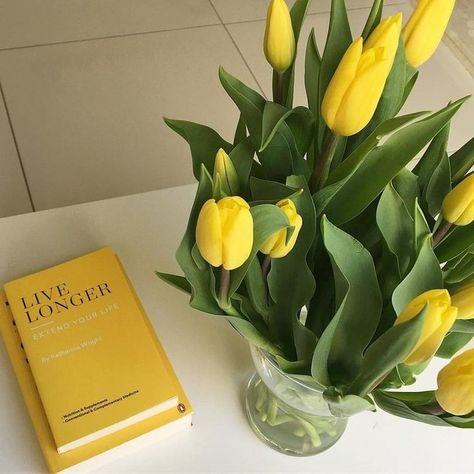 #Yellow #flowers #tulip #book Cheengu Yellow, Yellow Aesthetics, Yellow Aesthetic Pastel, Aesthetic Yellow, Yellow Theme, Color Aesthetic, Jaune Orange, Yellow Tulips, Yellow Wallpaper