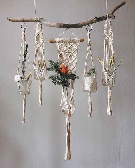 Driftwood Plant, Driftwood Macrame, Diy Macrame Plant Hanger, Macrame Wall Hanging Patterns, Macrame Plant Holder, Driftwood Decor, Macrame Hanger, Wall Hanging Diy, Diy Macrame