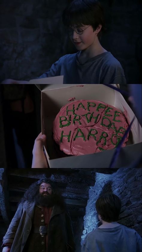 Hagrid Harry Potter, Harry Potter Wallpapers, Cumpleaños Harry Potter, Harry Potter Harry, Harry Potter Background, Welcome To Hogwarts, Yer A Wizard Harry, Harry Potter Images, Harry Potter Cake