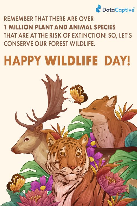 Poster On Wildlife Conservation, Save Wildlife Poster Painting, Save Wildlife Poster Ideas, Save Animals Poster, World Wildlife Day, Online Preschool, Project Cover Page, Bank Job, Forest Conservation