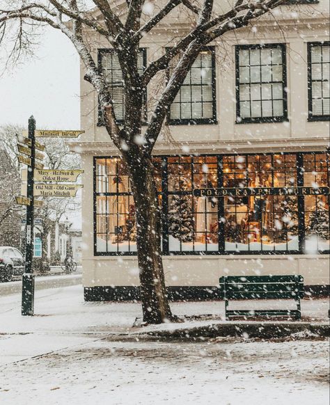 Nantucket Winter, Nantucket Aesthetic, Ralph Lauren Christmas, England Winter, Christmas Destinations, Winter Cabin, Winter Photos, Winter Photo, Lady Girl