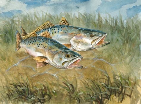 Trout swimming Trout Swimming, Trout Painting, Fish Photos, Speckled Trout, Trout Art, Brown Trout, Canvas Wall Decor, Sea Life, Animal Art