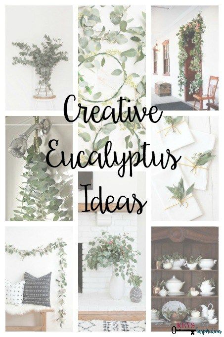 So many creative ideas for using Eucalyptus - my favorite green! Eucalyptus Diy, Fresh Eucalyptus, Dried Eucalyptus, Pampas Grass Decor, Eucalyptus Garland, Eucalyptus Wreath, Creative Home Decor, Crafting Ideas, Creative Home