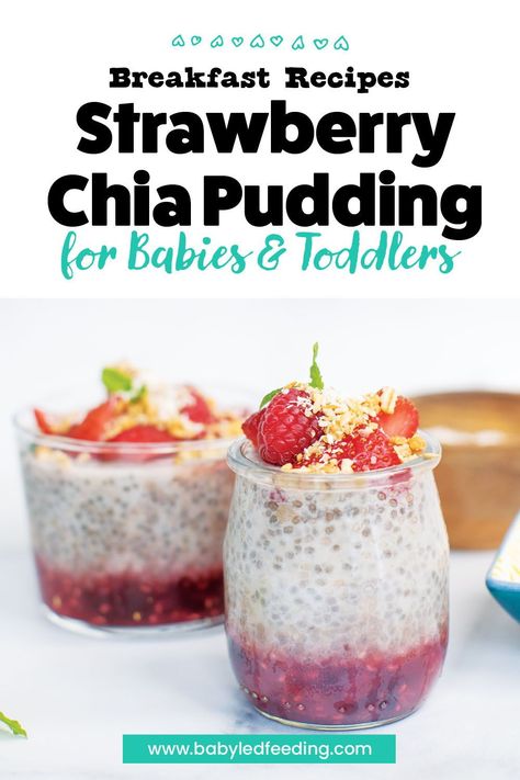 Easy healthy baby led weaning breakfast pudding with chia seeds! This yummy chia seed breakfast pudding is an easy baby and toddler breakfast recipe that moms and dads can love too! Blw Chia Pudding, Cranberry Baby Food Recipe, Toddler Chia Pudding, Chia Seed Pudding For Babies, Baby Chia Pudding, Toddler Desserts, Led Weaning Breakfast, Chia Seed Breakfast Pudding, Toddler Breakfast Recipes