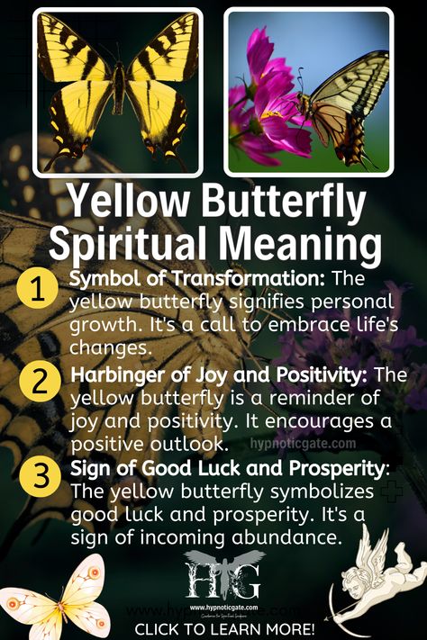 Yellow Dragonfly Meaning, Yellow Butterfly Spiritual Meaning, Yellow And Black Butterfly Meaning, Swallowtail Butterfly Meaning, Butterfly Symbolism Meaning, Butterfly Meaning Spiritual, Monarch Butterfly Meaning, Butterfly Spiritual Meaning, Yellow Butterfly Meaning