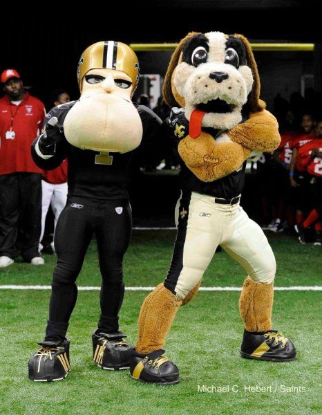 Sir Saint and Gumbo the St. Bernard, the two official New Orleans Saints mascots. Geaux Tigers, Who Dat, Team Mascots, St Bernard, Dynamic Duo, Great Team, Gumbo, New Orleans Saints, Boston Celtics