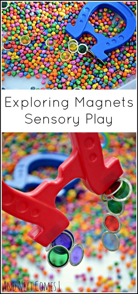 Exploring magnets through sensory play - colorful simple science for toddlers and preschoolers from And Next Comes L Science For Toddlers, Sensory Tubs, Simple Science, Sensory Boxes, Sensory Table, Kindergarten Science, Toddlers And Preschoolers, Preschool Science, Kids Sensory