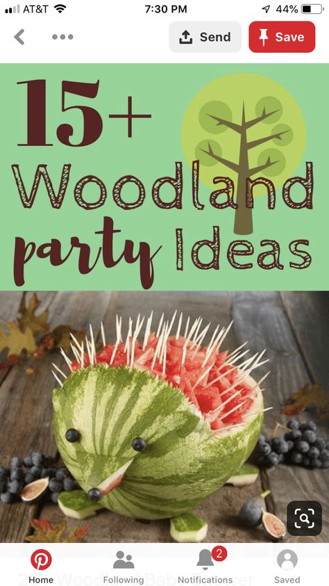 Forest Animals Baby Shower Ideas, Woodland Baby Shower Food, Woodland Party Ideas, Bos Baby, Woodland Baby Shower Theme, Woodland Party Theme, Forest Animal Baby Shower, Woodland Creatures Baby Shower, Woodland Theme Baby