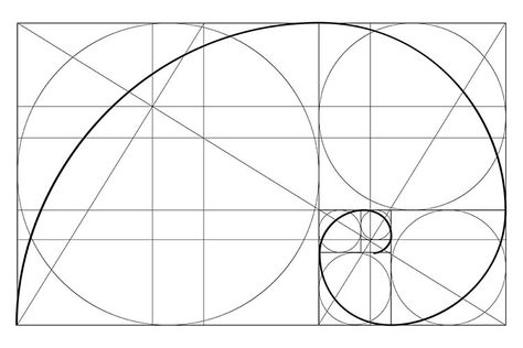 A new way to rhythm your design with Golden Ratio | UX Collective Fibonacci Drawing, Golden Ratio Composition, Golden Ratio Tattoo, Golden Ratio Art, Gold Ratio, Golden Ration, Golden Ratio In Design, Golden Proportion, Golden Ratio Logo