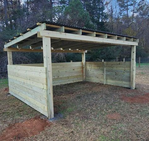 Small Horse Shelter, Goat Corral, Horse Shelter Ideas Cheap, Horse Stalls Cheap, Horse Pasture Ideas, Horse Shelter Ideas, Horse Run In Shelter, Donkey Shelter, Horse Shed