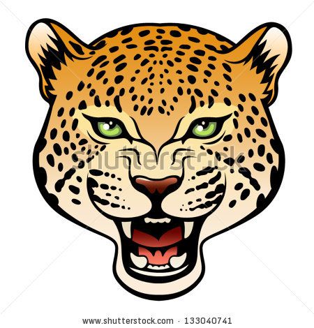 Tiger Color, Zentangle Animals, Leopard Face, Drawing Heads, White Drawing, Color Images, Vector Sketch, Head Tattoos, Black And White Drawing