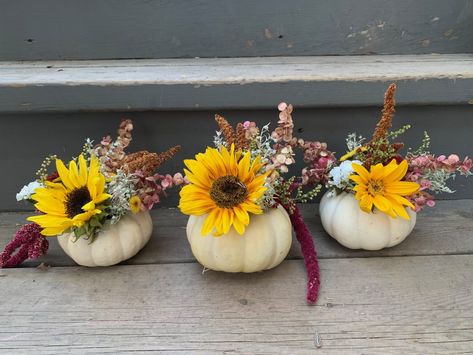 Do This For the Longest Lasting Pumpkin and Flower Centrepiece | Shifting Roots Pumpkin Flower Centerpiece, Greenhouse Addition, Flower Centrepiece, Pumpkin Bouquet, Cold Climate Gardening, Small Plastic Containers, Flower Boquet, Pumpkin Vase, Pumpkin Arrangements