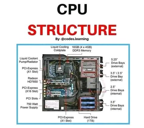 Computer CPU, parts of CPU, computer CPU Cpu Computers, Parts Of Cpu, Cpu Parts, Build Computer, Computer Assembly, Romanticizing College, Simple Electronic Circuits, Computer Study, Networking Basics