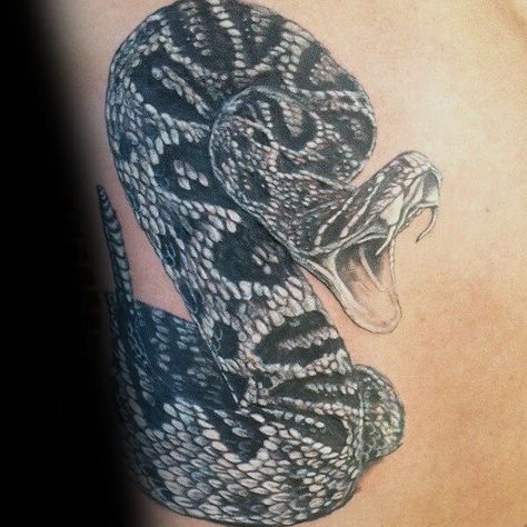 20+ Traditional Rattlesnake Tattoo Designs | PetPress Rattlesnake Tattoo Design, Traditional Rattlesnake Tattoo, Rattlesnake Tattoo, Antler Tattoos, Natur Tattoo Arm, Tattoo 2017, Diamondback Rattlesnake, Wave Tattoo Design, Mayan Tattoos