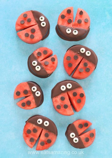 Fun ladybug food idea - these cute watermelon ladybirds are perfect for healthy kids party food and snacks Ladybug Snacks, Ladybird Birthday, Healthy Kids Party Food, 1st Birthday Foods, Toddler Recipe, Kotak Bento, Party Food Kids, Ladybug Baby Shower, Kids Foods