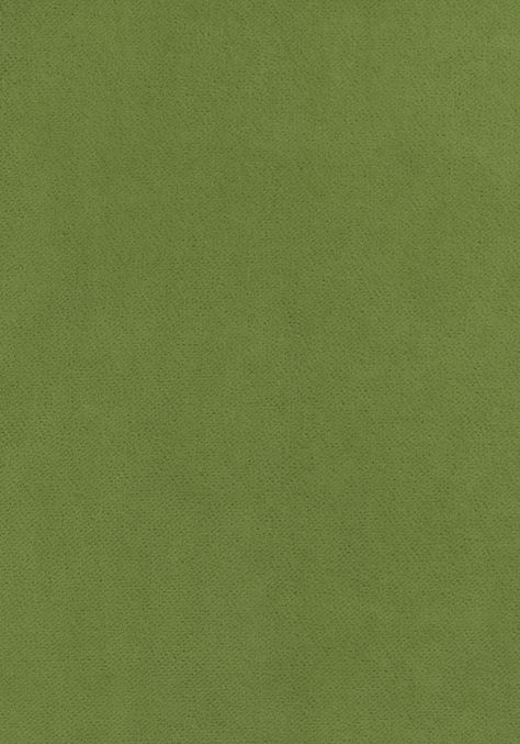 CLUB VELVET, Leaf, W7256, Collection Club Velvet from Thibaut Plastic Texture, Fabric Products, Green Book, Kravet Fabrics, Velvet Collection, Woven Fabrics, Fabric Sale, Fabric Online, Recycle Plastic Bottles