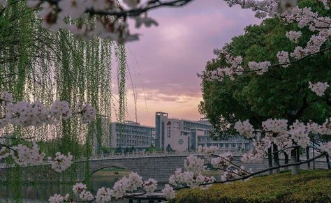 Asian Aesthetic Wallpaper, Wallpaper Windows 10, Asian Wallpaper, Kawaii Background, Pink Nature, Windows Wallpaper, Cute Laptop Wallpaper, Dreamy Photography, Desktop Wallpaper Art