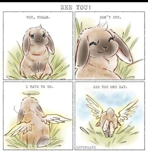 Bunny Memorial, Bunny Care Tips, Rabbit Life, Pet Bunny Rabbits, Bunny Tattoos, Bunny Care, Bunny Mom, Bunny Stuff, Bunny Drawing