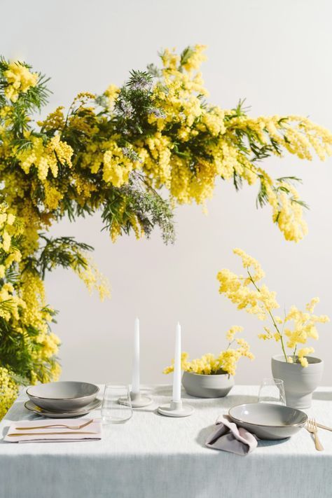 Yellow Mimosa, Ostuni Puglia, Flower Table Decorations, Mimosa Flower, Yellow Wedding Flowers, Flower Installation, Wedding Reception Inspiration, Wedding Set Up, Flower Party