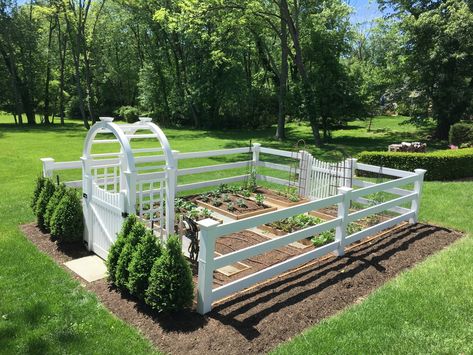 Sunken Vegetable Garden, Small Circular Flower Bed Ideas, Raised Bed Fence, Half Acre Garden Layout, Small Front Yard Vegetable Garden, Berry Patch Layout Garden Ideas, Ground Garden Layout, In Ground Vegetable Garden Design, Rectangle Garden Design Layout