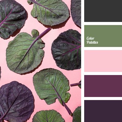 Eggplant Color Scheme, Eggplant Color Palette, In Color Balance, Purple Pages, Purple Palette, Color Palette Ideas, Wall Living Room, House Color Palettes, Color Schemes Colour Palettes