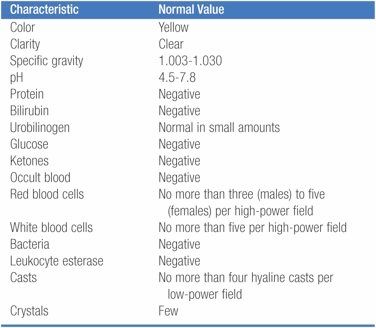 Normal Values for Urinalysis Thesis Statement Examples, Microbiology Lab, Normal Values, Urinary System, College Nursing, Risk Analysis, Respiratory Therapy, Writing A Business Plan, Thesis Statement