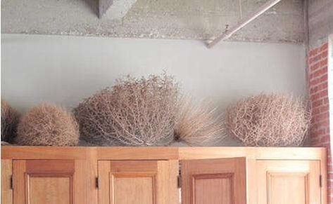 Accessories: Tumbleweeds as Decor - Remodelista Tumbleweed Decor, Joshua Tree Airbnb, Thrift Boutique, Living Space Decor, White String Lights, Desert Vibes, Living Off The Land, Decorating Inspiration, Western Home Decor