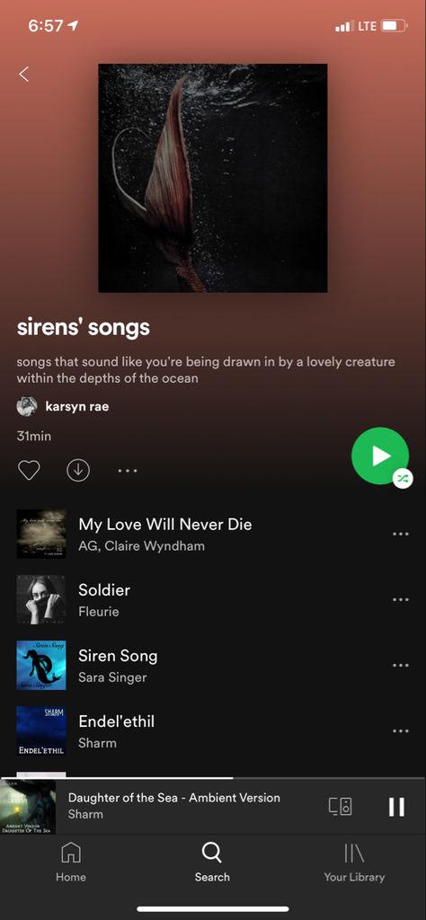 Siren Playlist, Pirate Playlist, Aesthetic Playlists Spotify, Mermaid Playlist, Royal Playlist, Pirate Music, Pirate Songs, Music Recs, Playlist Names Ideas