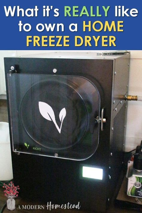 Freeze Dried Food Storage, Harvest Right Freeze Dryer, Best Freeze Dried Food, Freeze Dried Food, Freeze Dryer, Year Review, Emergency Food Storage, Dried Food, Dry Food Storage