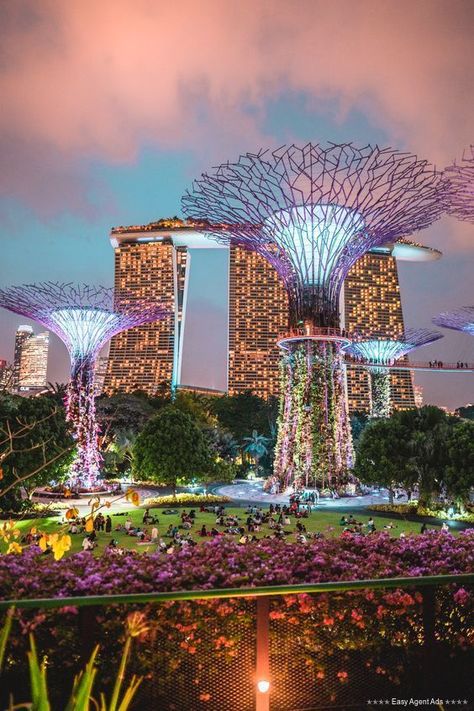 Singapore Marina Bay, Singapore Travel Tips, Singapore Guide, Singapore Itinerary, Singapore Garden, Sands Singapore, Singapore Photos, Visit Singapore, Singapore Travel